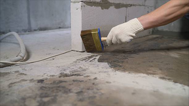 24/7 Emergency Wet Basement Repair experts in Elk Grove Village, IL